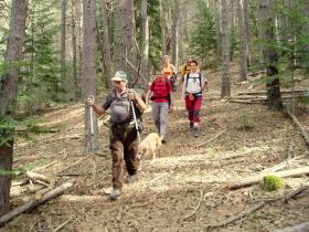 photo coins arrondis